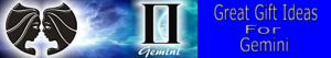 Gemini Zodiac Sign